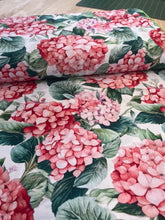 Nora's Nursery Hydrangea