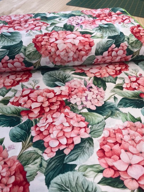 Nora's Nursery Hydrangea