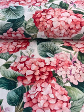 Nora's Nursery Hydrangea